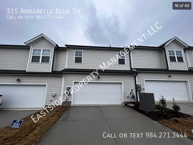 Building Photo - 315 Annabelle Blue Dr