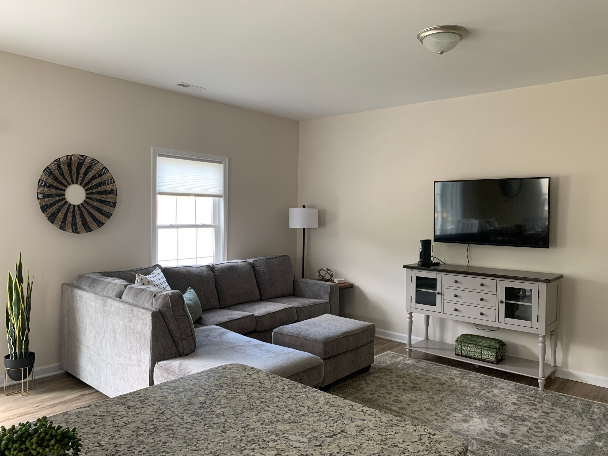 Living room - 239 Louise Ln