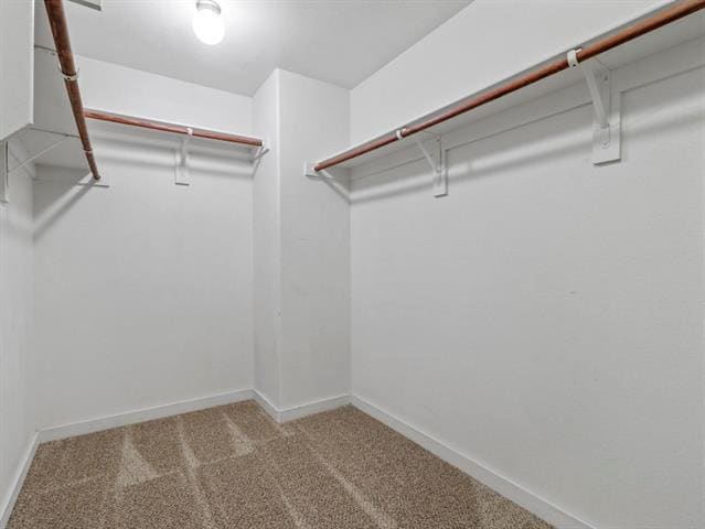 Building Photo - 9941 Ironhorse Dr
