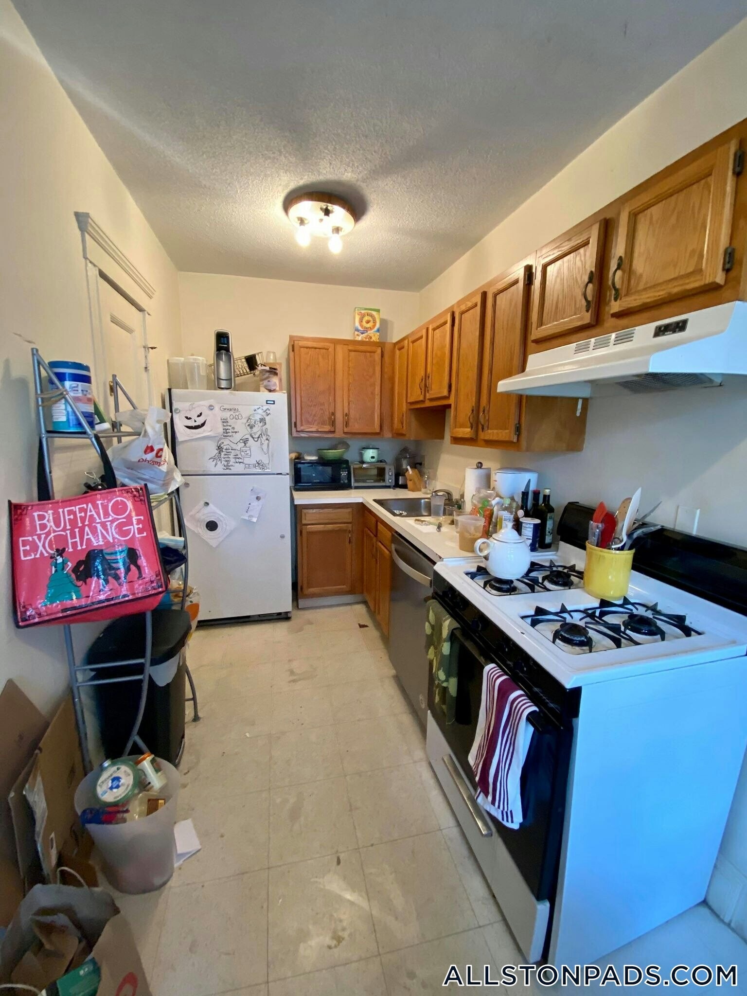 Building Photo - 50 Chester St