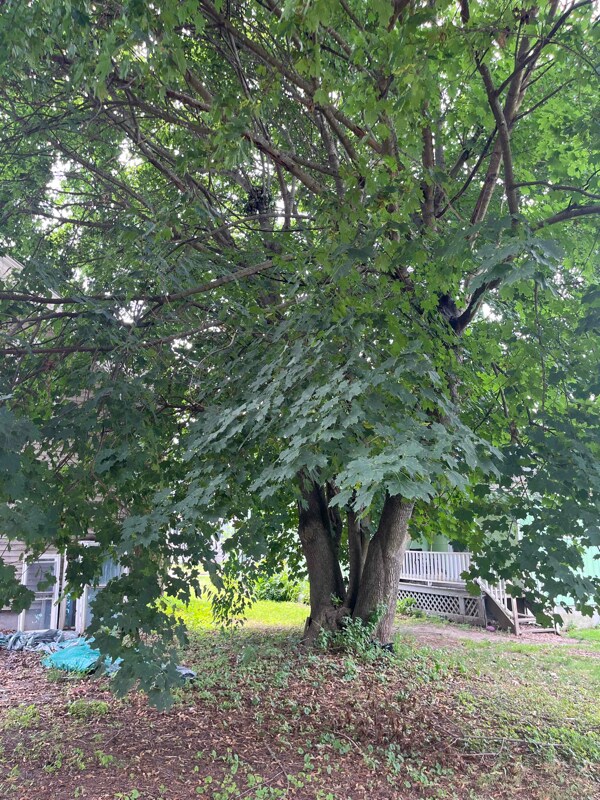 Building Photo - 414 N Bellinger St