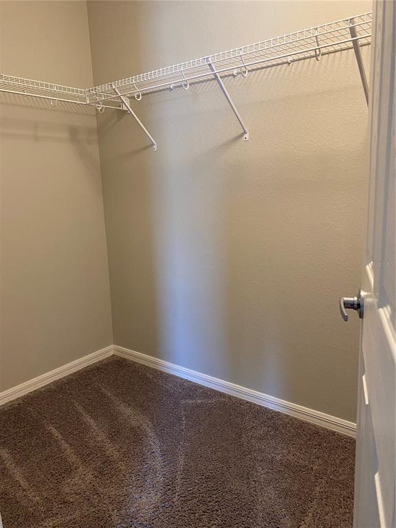 Building Photo - 217 Cascara Ln