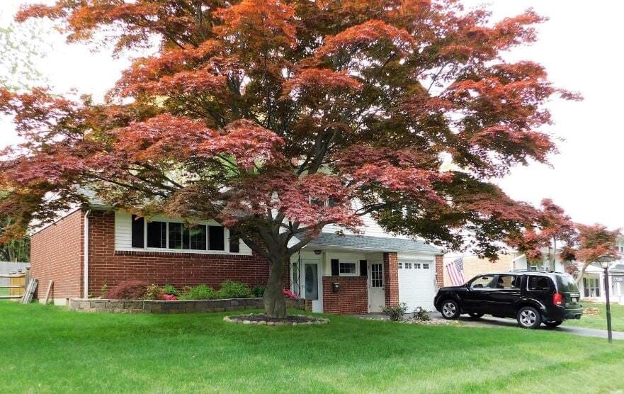 Building Photo - 2208 Jamaica Dr