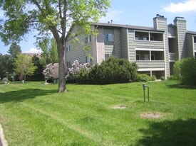 Building Photo - 4650 White Rock Cir