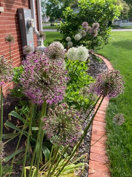 Building Photo - 108 S Maple Ave