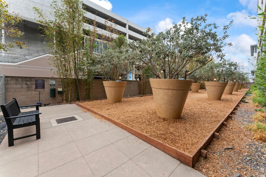 Dog Park - 311 2nd St