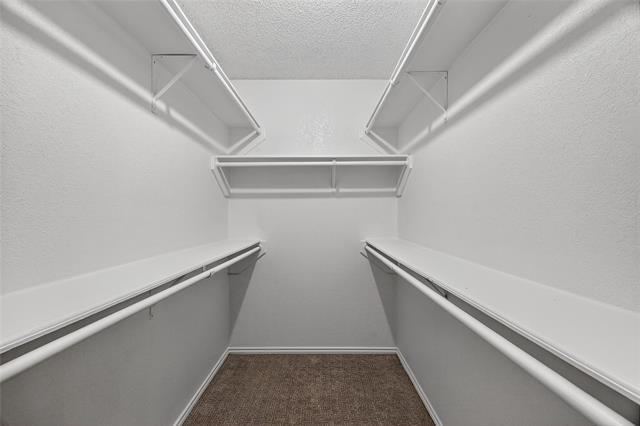 Building Photo - 2724 Countryside Ln