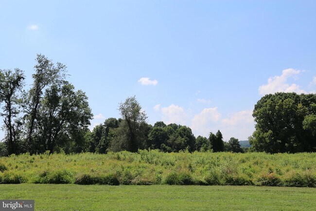 Building Photo - 1709 Mountainview Dr