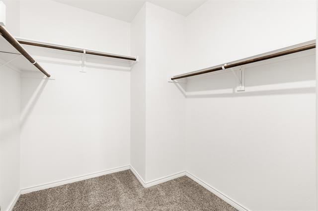 Building Photo - 3021 Colorado Dr
