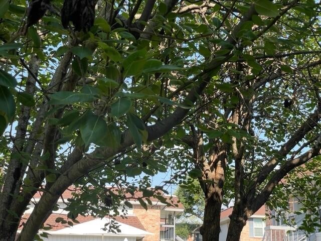 Building Photo - 2350 Bering Dr