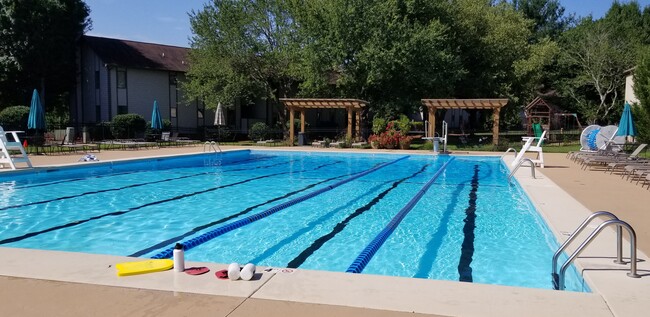 Heated, 25-yard, 6 lane pool with diving board, located right out back (membership required) - 17 Racquet Club Rd