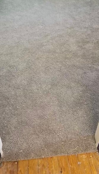 New carpet installed 4/7/26 - 8330 Clough Pike