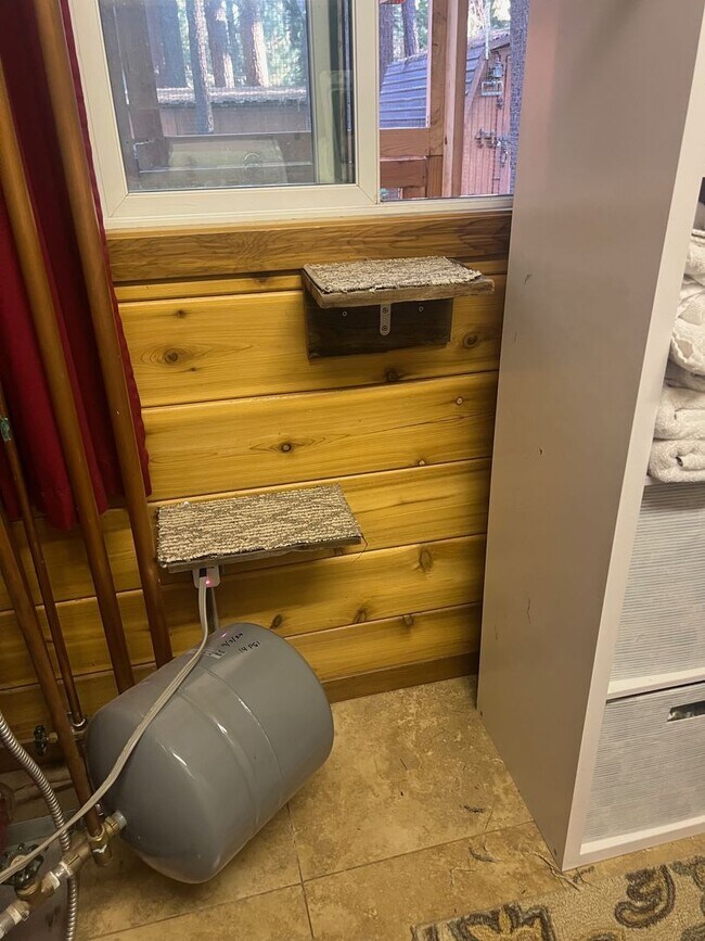 Building Photo - Furnished mountain cabin