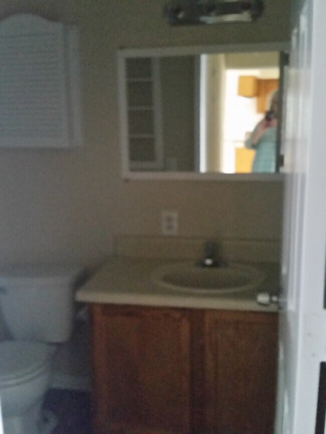 Building Photo - 2 bed 2 bath with washer/dryer connections