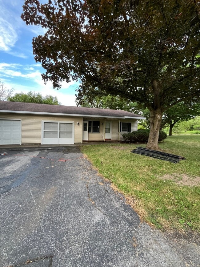 Building Photo - 7262 Patane Dr