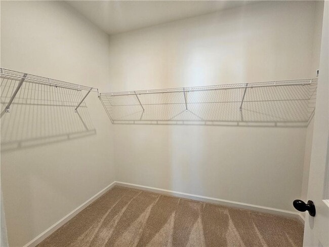 Building Photo - 3250 Willow Glade Trl