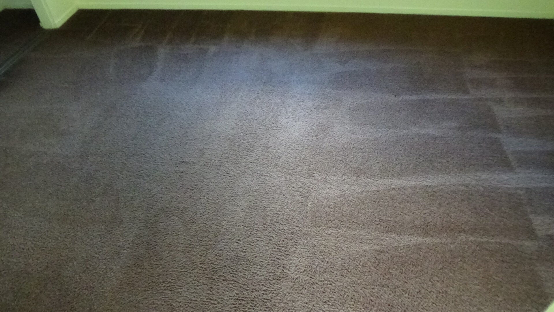 Building Photo - 1117 Seabreeze Way