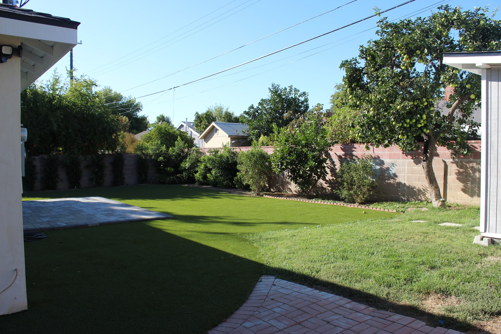 Backyard - 20801 Bassett St