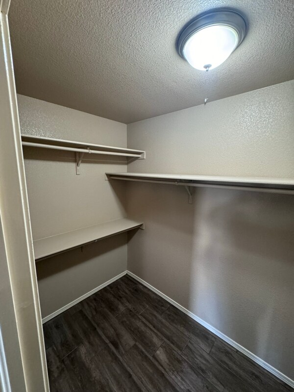 Building Photo - 10644 Canyon Sage Dr