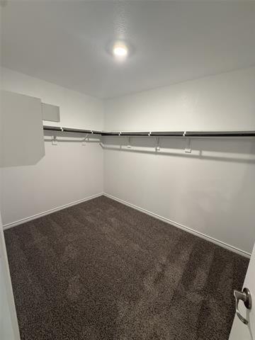 Building Photo - 505 Summit Pass Ln