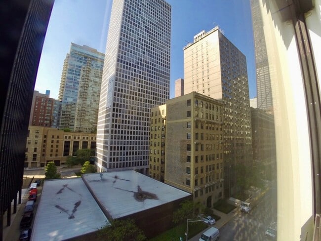 Building Photo - 900 N Lake Shore Dr