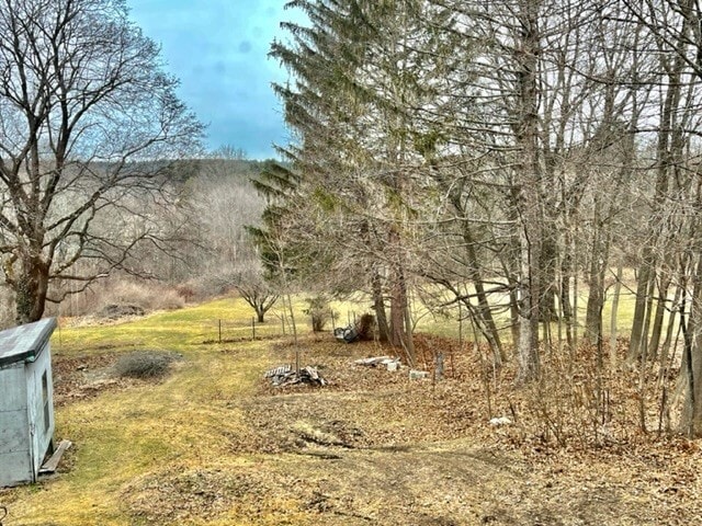 Backyard - 692 Main St
