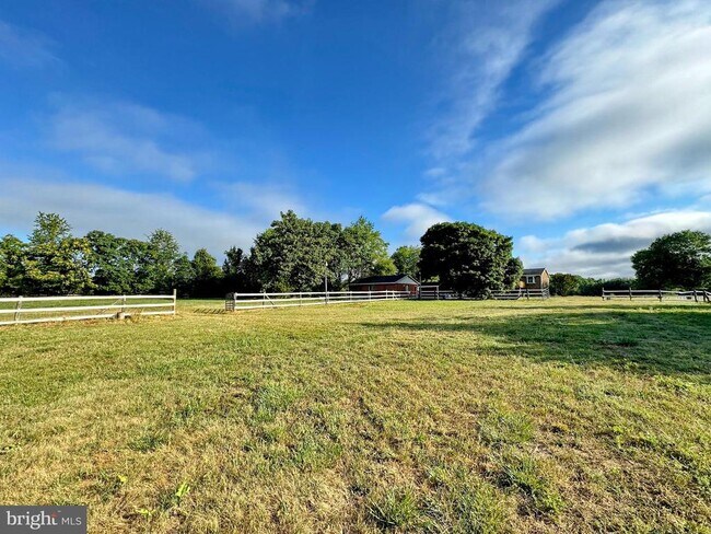 Building Photo - 8530 Wedding Dr