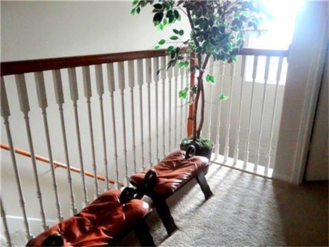 Building Photo - 16315 Woma Ct