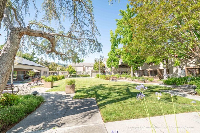 Building Photo - Amazing Downtown Los Gatos Location * One ...