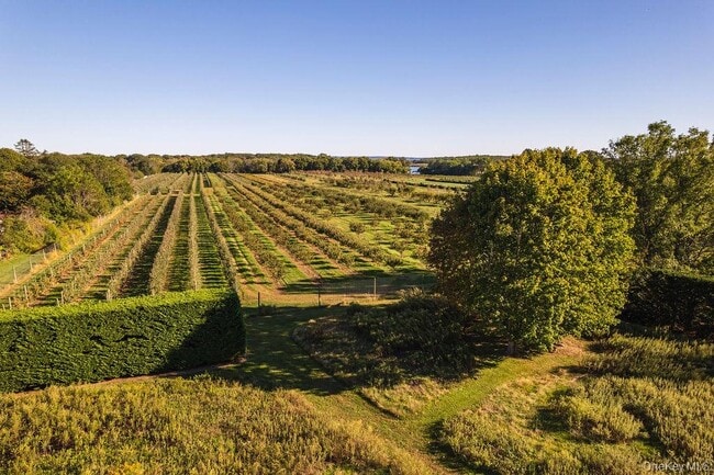 Building Photo - 29500 Main Rd