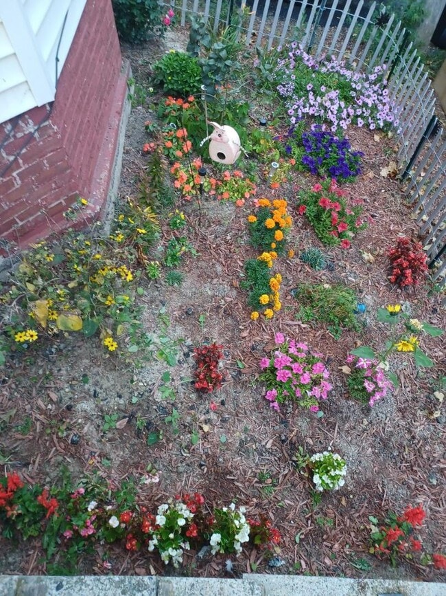 Building Photo - 204 Blake St