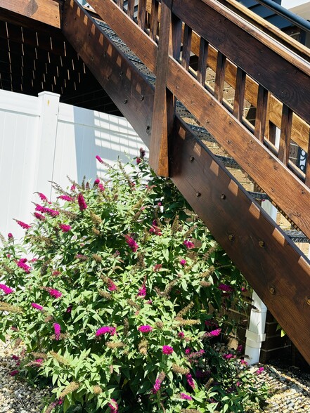 Entry stiars - 9841 Cleveland Ave NW