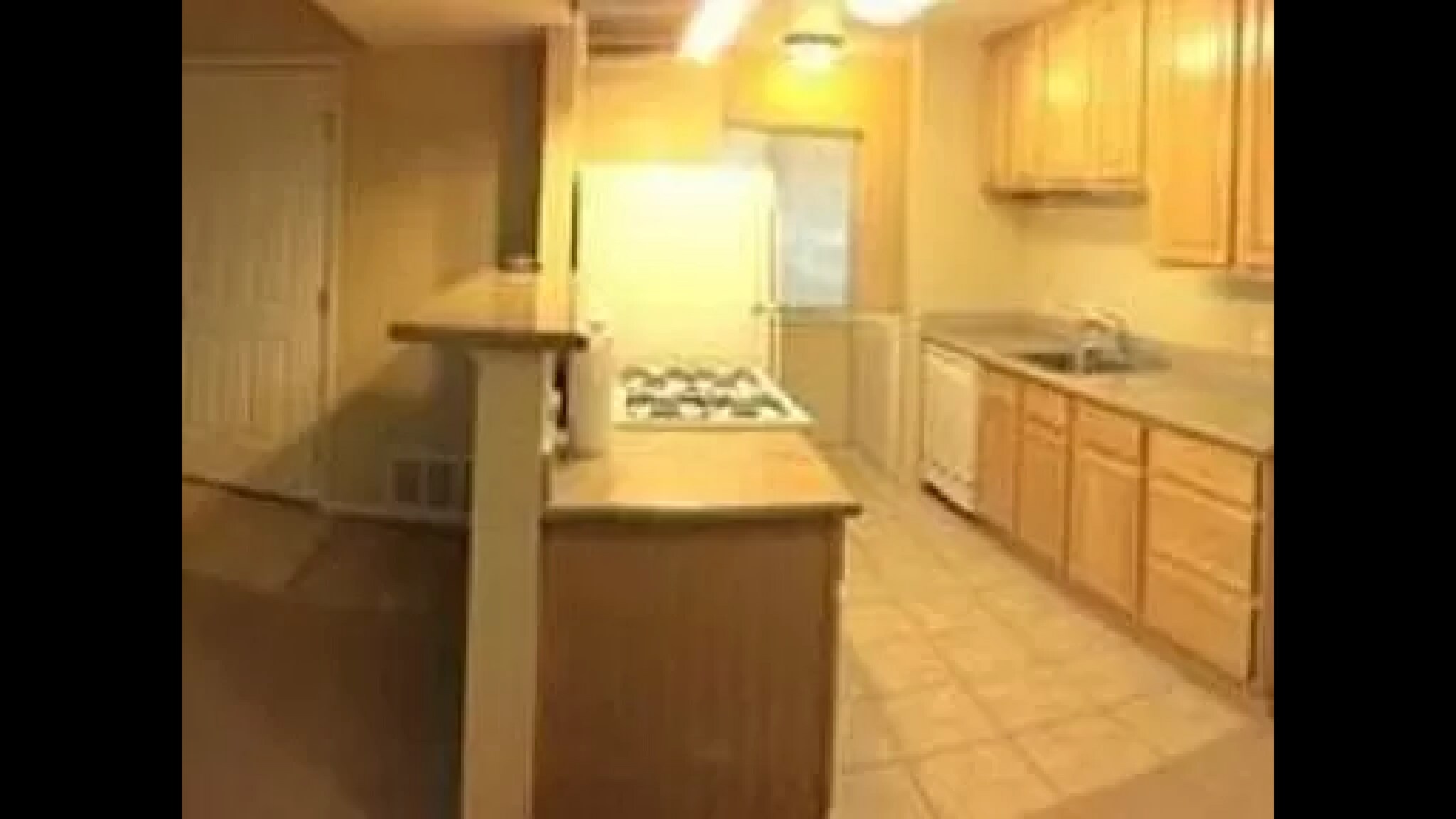 kitchen - 1253 Lakeview Cir