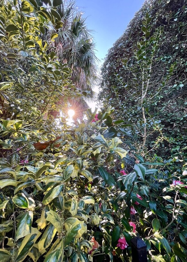 Building Photo - Available for lease May-September 2026. Stunning Fully-Furnished 3 BR/2.5 BA Available in the Hea...