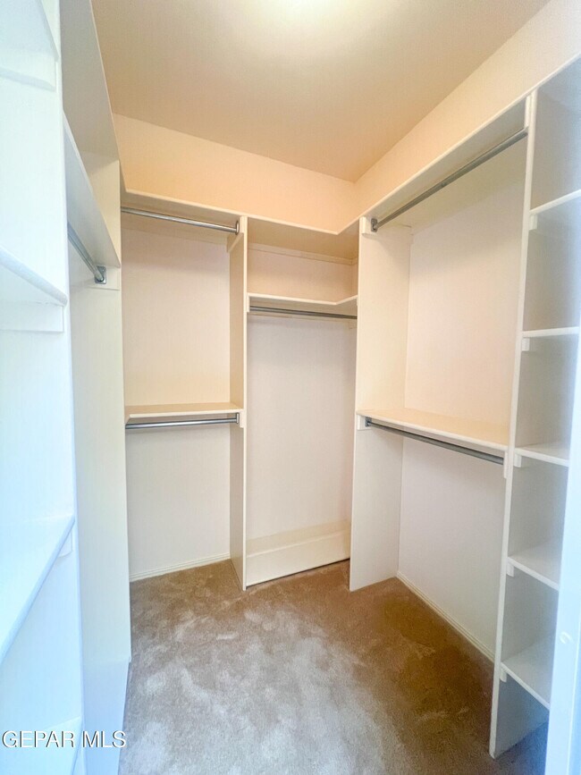 Building Photo - 10726 White Sands Dr