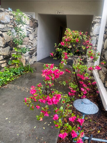 Walkway to condo - 241 S Barrington Ave