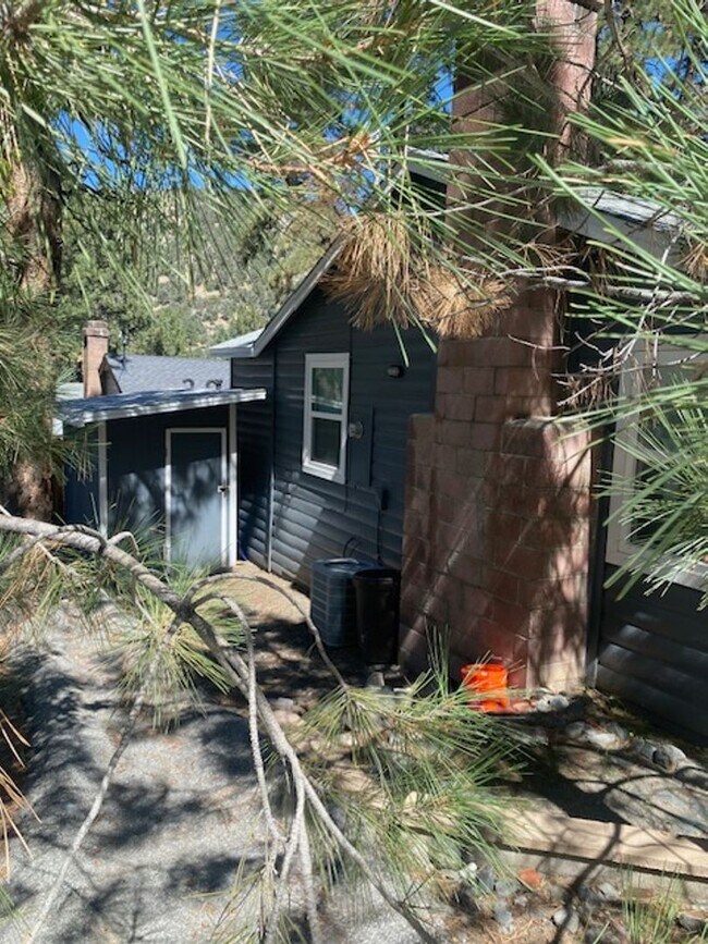 Building Photo - WRIGHTWOOD HOME