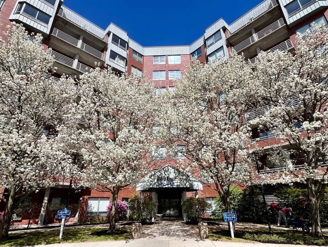 Building Photo - South Portland 2BD/1BA with Balcony at Bre...