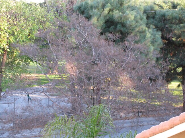 Building Photo - 6541 Odessa Ave