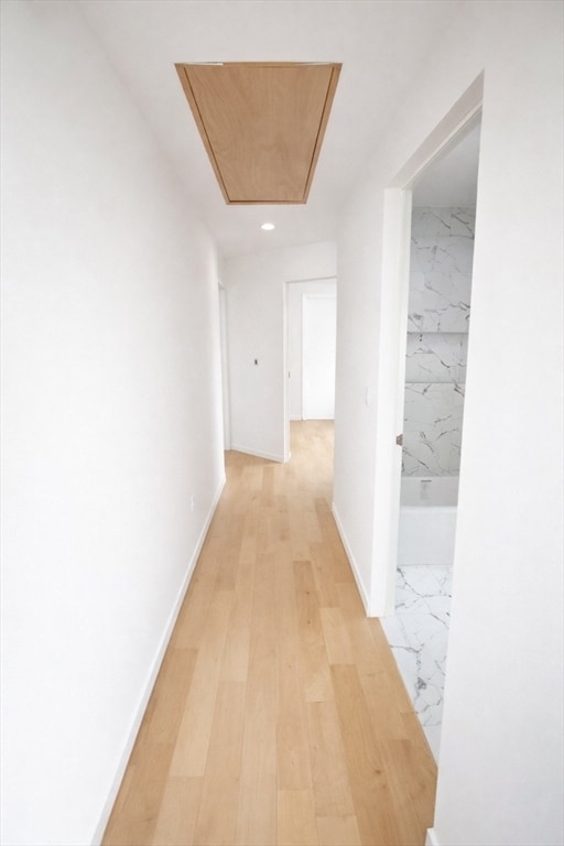 Building Photo - 45 Laurel St