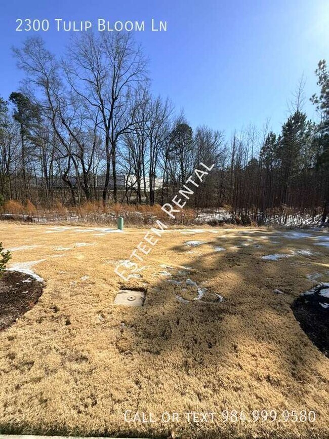 Building Photo - 2300 Tulip Bloom Ln