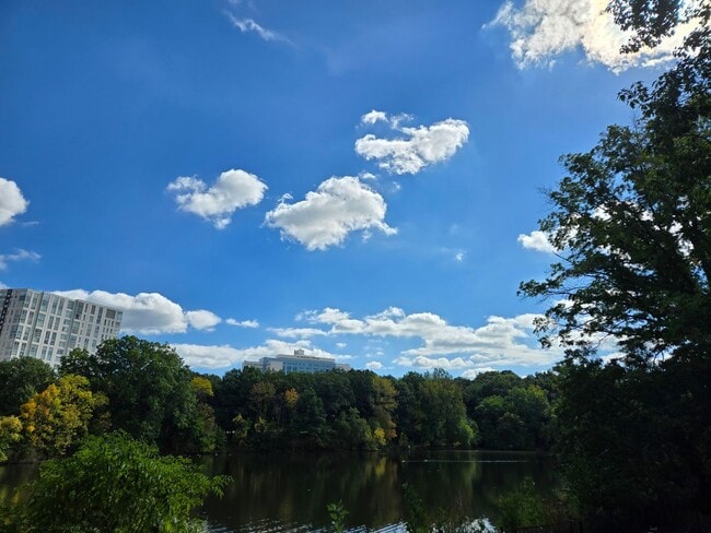 Building Photo - Top floor unit with a stunning open view! Walk to Longwood!