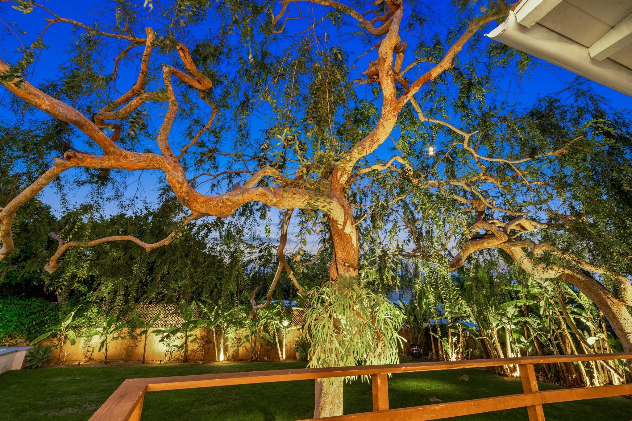 Backyard - 2697 Wilson St