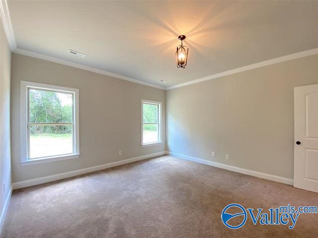 Building Photo - 133 Matilda Dr