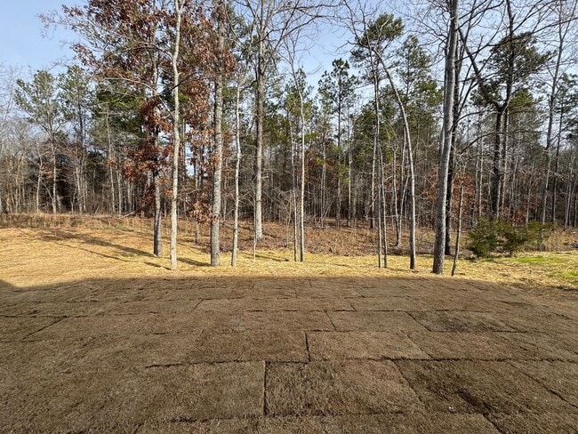 Building Photo - New 3/2.5 House in Armuchee- $1,995
