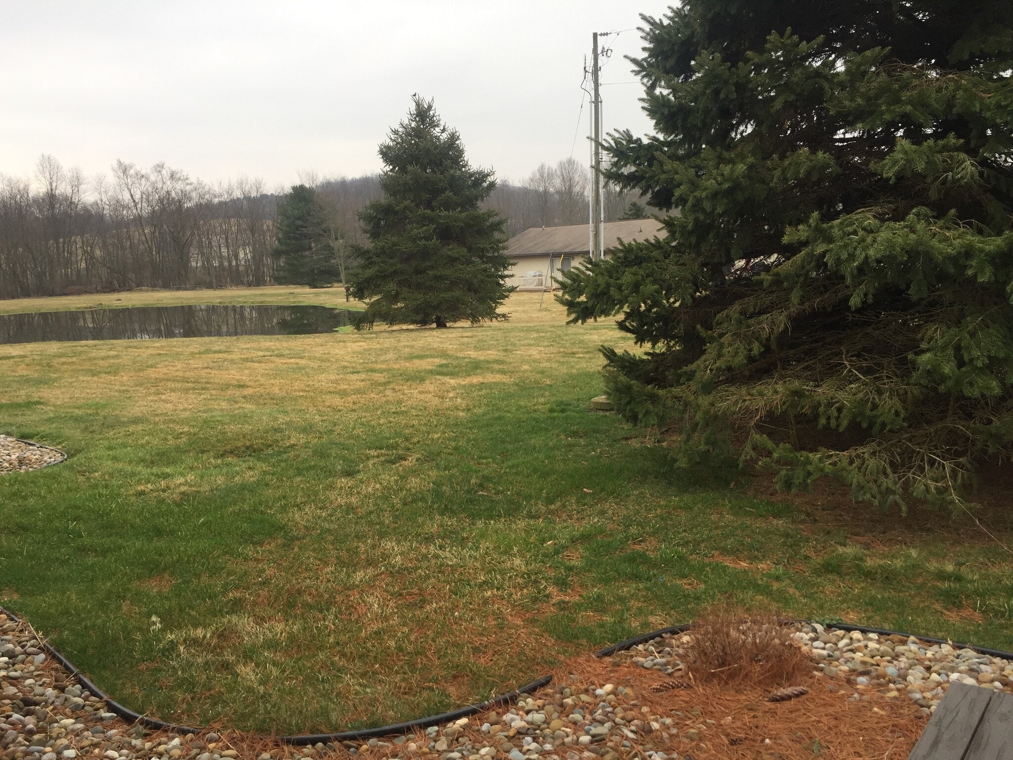 Country view - 1232 Schneiders Crossing Rd NW