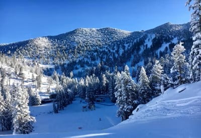 Building Photo - 1455 Keller Rd