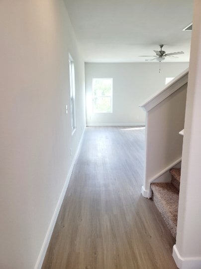 Building Photo - 1016 Peaceful Fawn Dr