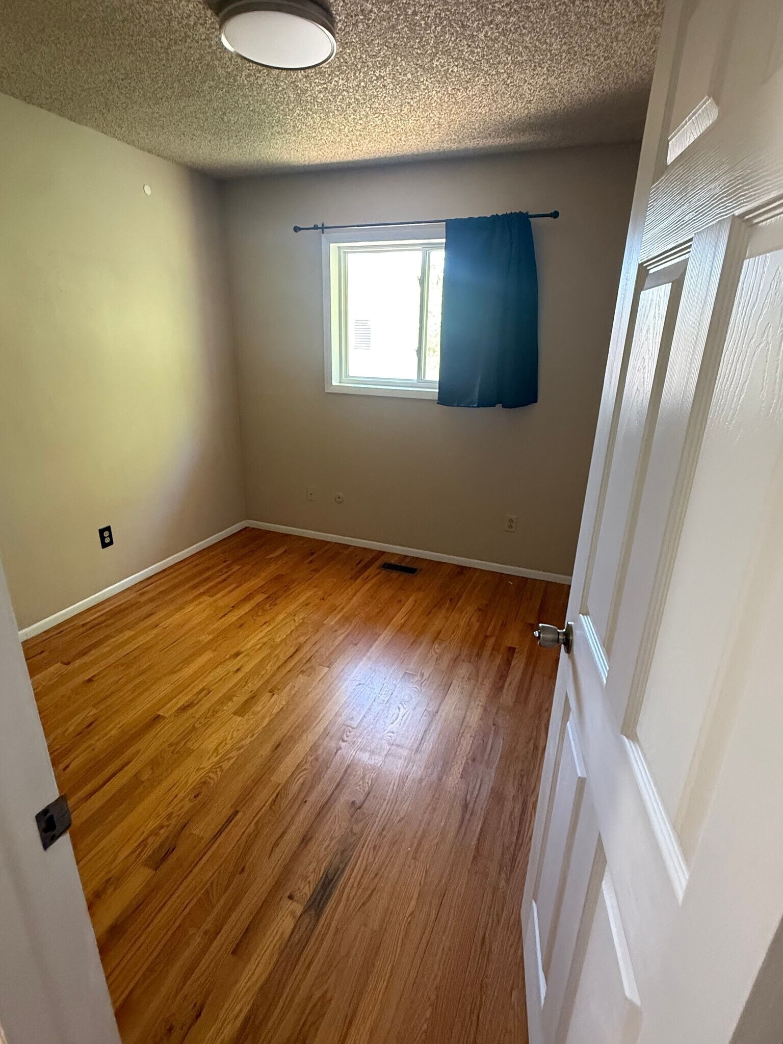 Building Photo - 1510 Terra Vista Ln