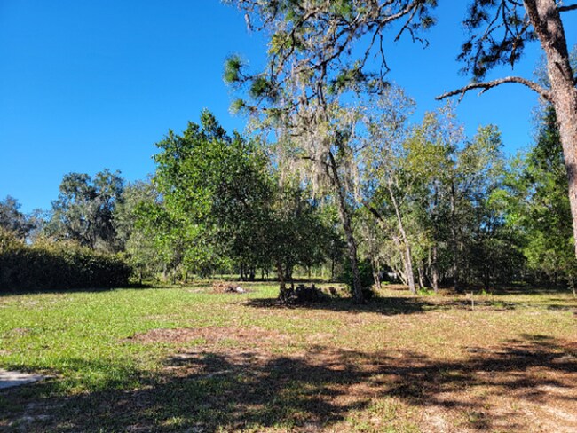 Building Photo - Peaceful 3/1 on over an Acre in Inverness!!!